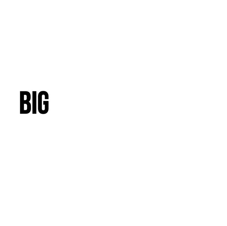 BIG TROUBLE